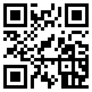 whatsapp support